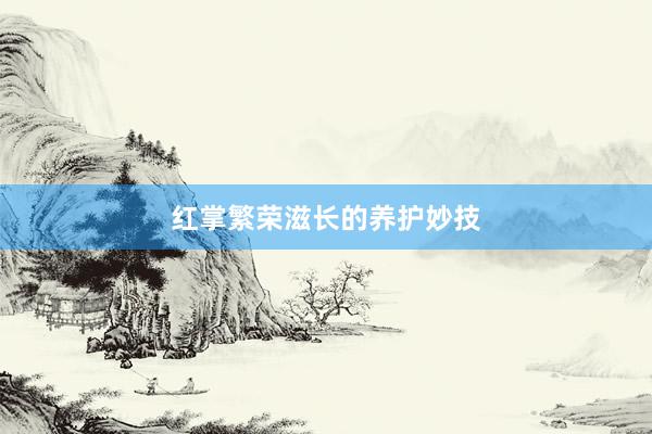 红掌繁荣滋长的养护妙技