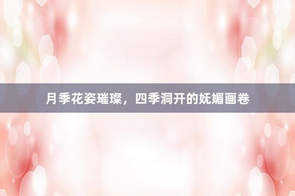 月季花姿璀璨，四季洞开的妩媚画卷